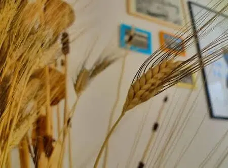 بيت ضيافة Di Giuseppe